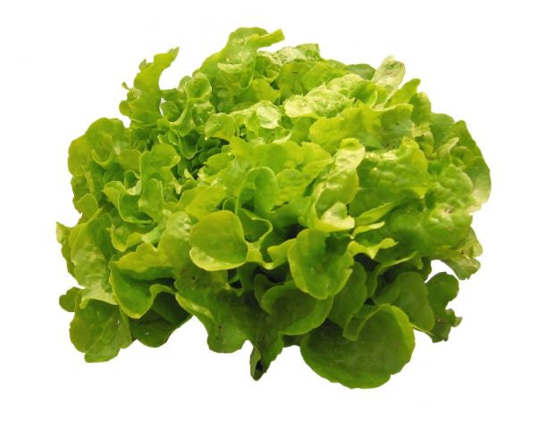 Salade verte